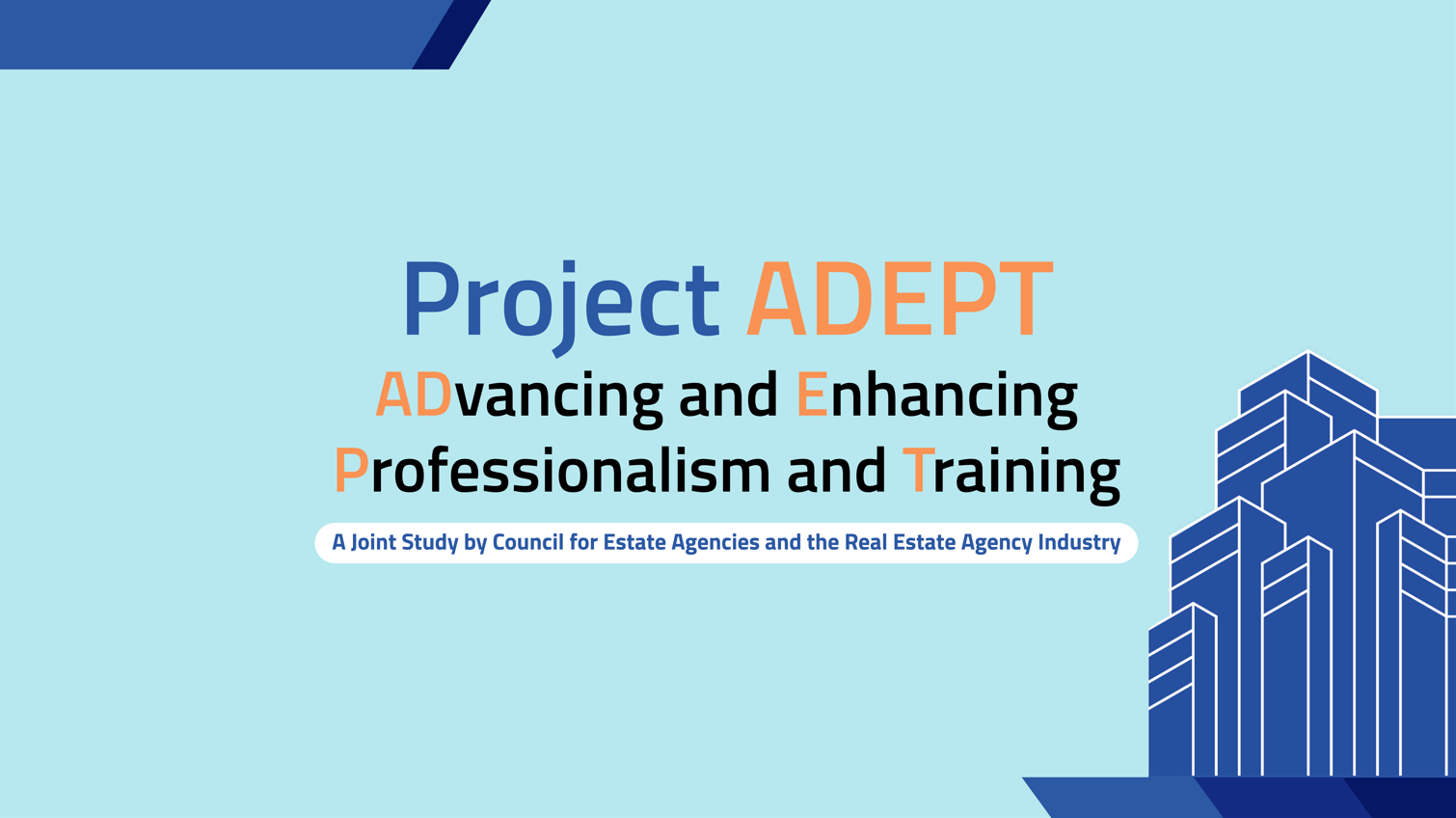 Project ADEPT (Advancing and Enhancing Professionalism and Training) 