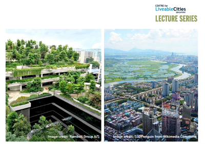 clc Successful Urban Development with PPPs: a review of local and global projects