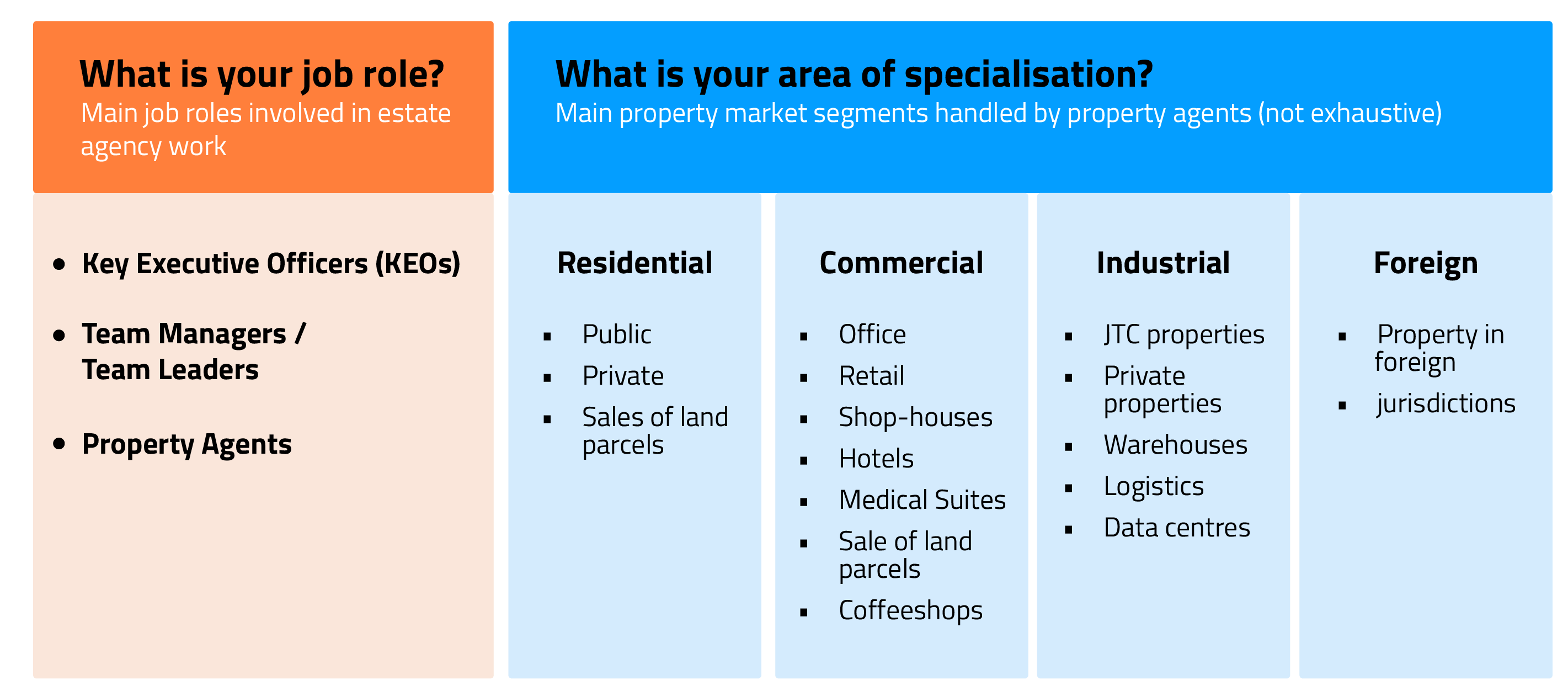 Your role and area of specialisation